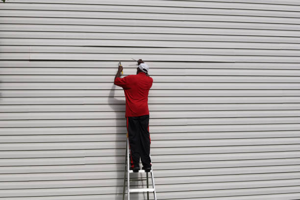 Best Steel Siding Installation  in Calhoun City, MS